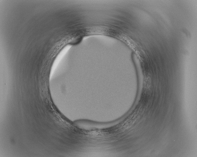 X0000115330385200912141224