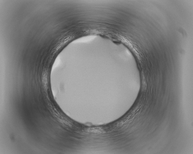 X0000115330386200912141224