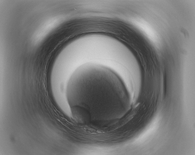 X0000115330387200912141224