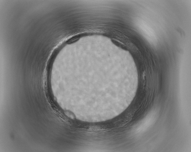 X0000115330388200912141224