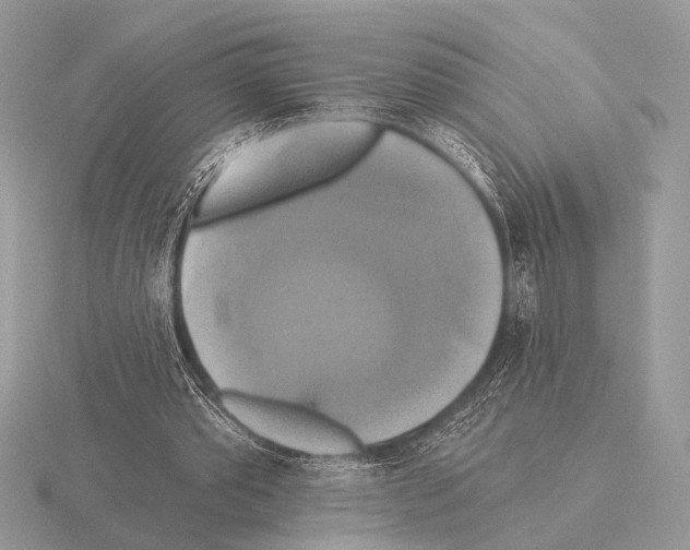 X0000115330389200912141224