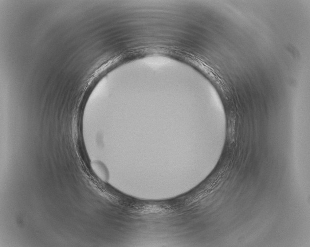 X0000115330390200912141224