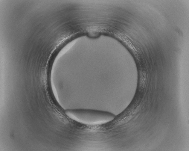 X0000115330391200912141224