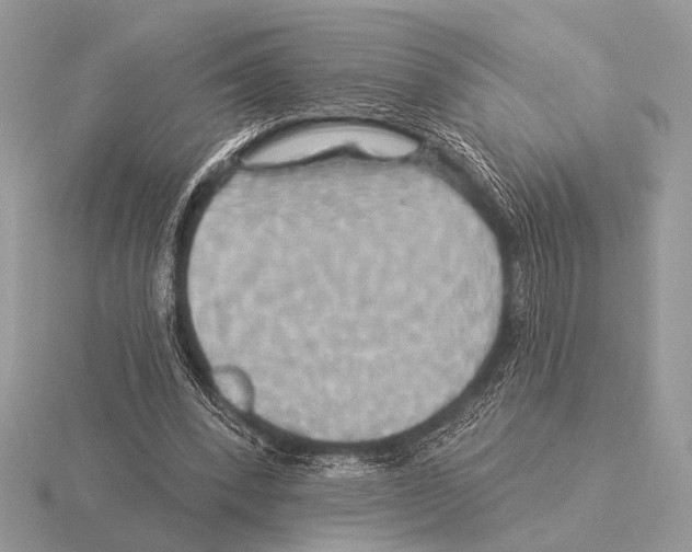 X0000115330392200912141224