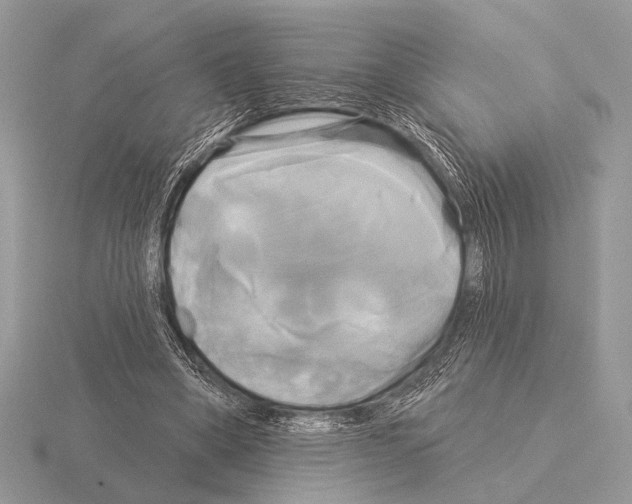 X0000115330394200912141223