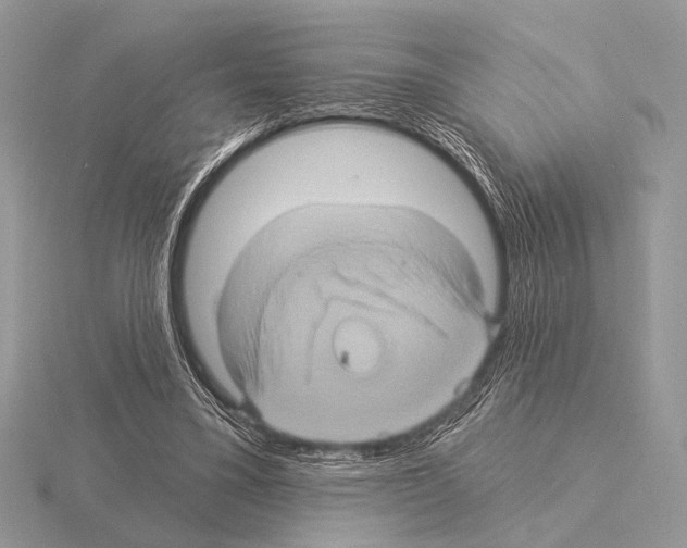 X0000115330395200912141223