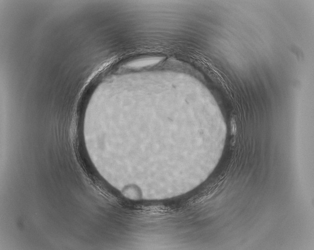 X0000115330396200912141223