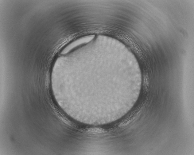 X0000115330397200912141223