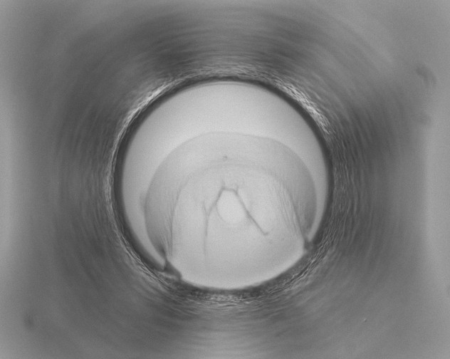 X0000115330399200912141223