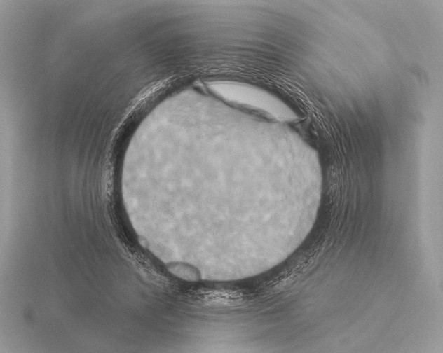 X0000115330400200912141223