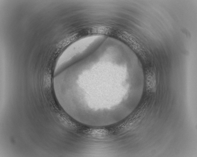 X0000115330401200912141223