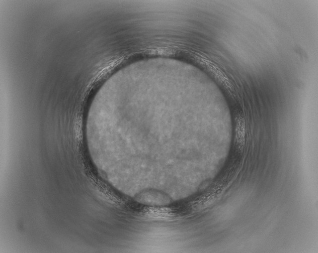 X0000115330403200912141223