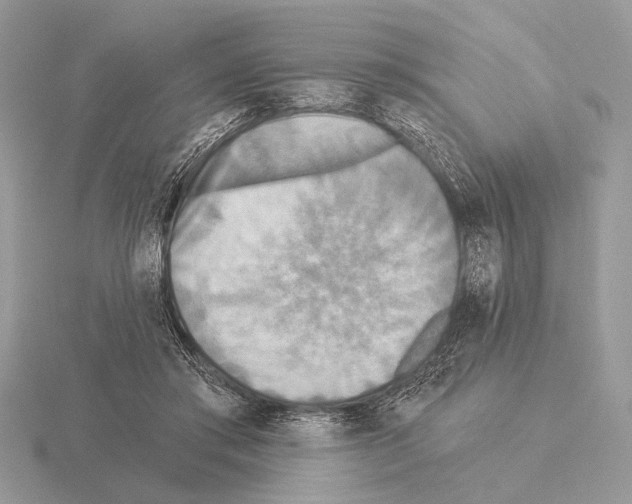 X0000115330405200912141223