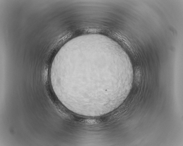 X0000115330406200912141223