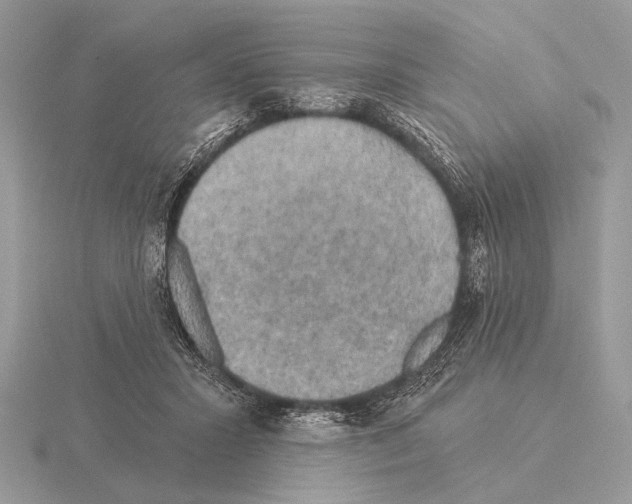 X0000115330407200912141223