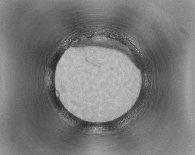 X0000115330408200912141223