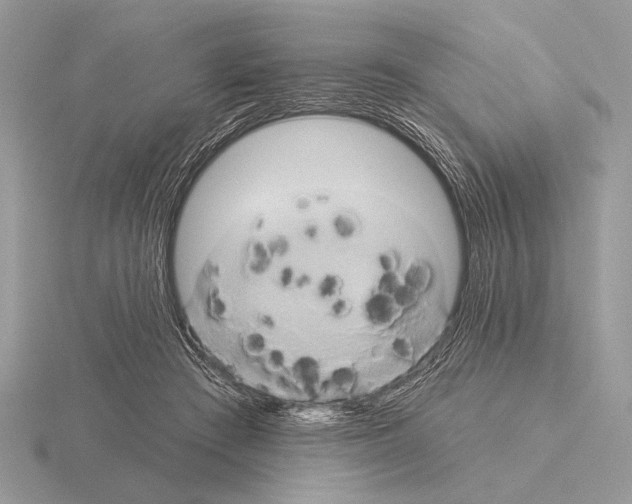 X0000115330409200912141223