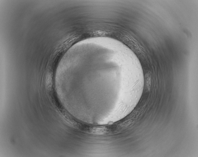 X0000115330410200912141223