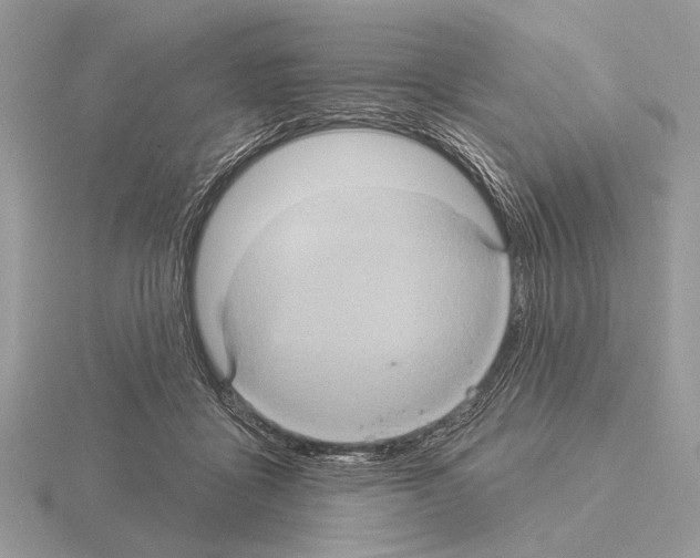 X0000115330411200912141223