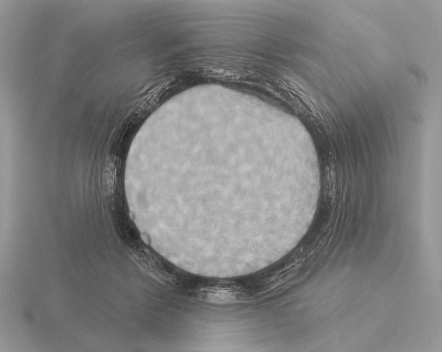 X0000115330412200912141223