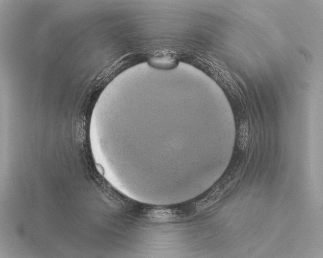 X0000115330413200912141223