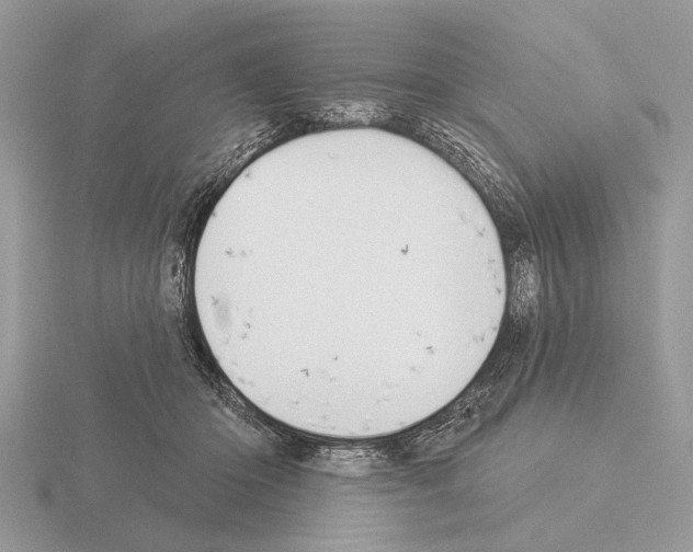 X0000115330414200912141223