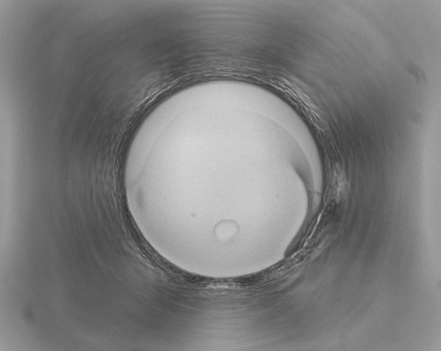 X0000115330415200912141223