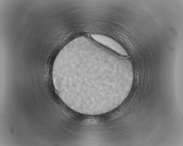 X0000115330416200912141223