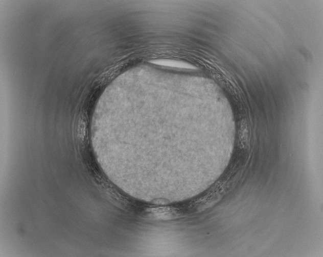 X0000115330417200912141223