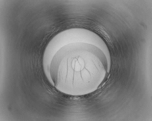 X0000115330419200912141223