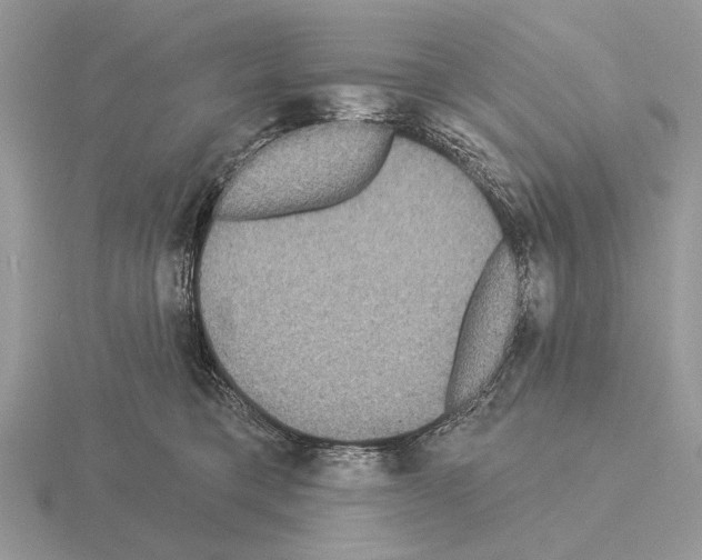 X0000115330421200912141223