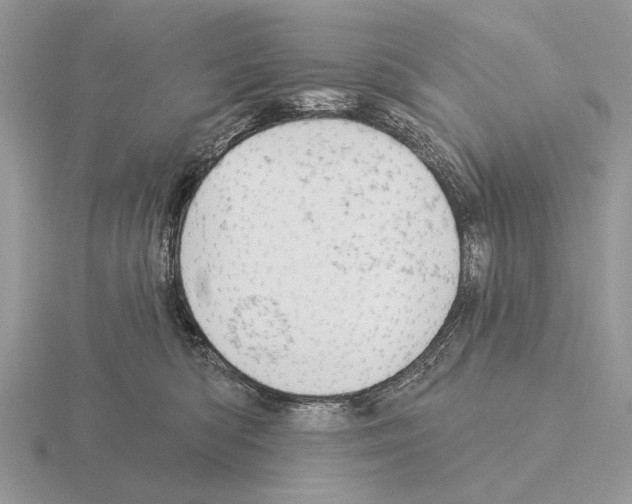 X0000115330422200912141223