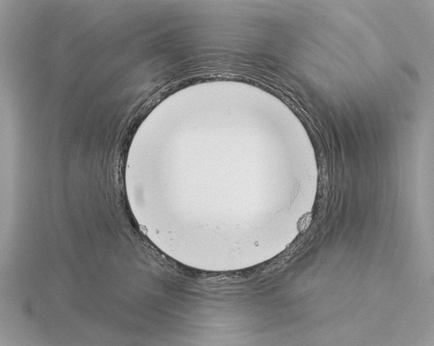 X0000115330423200912141223