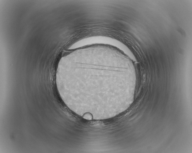 X0000115330424200912141223