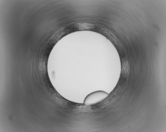 X0000115330426200912141223