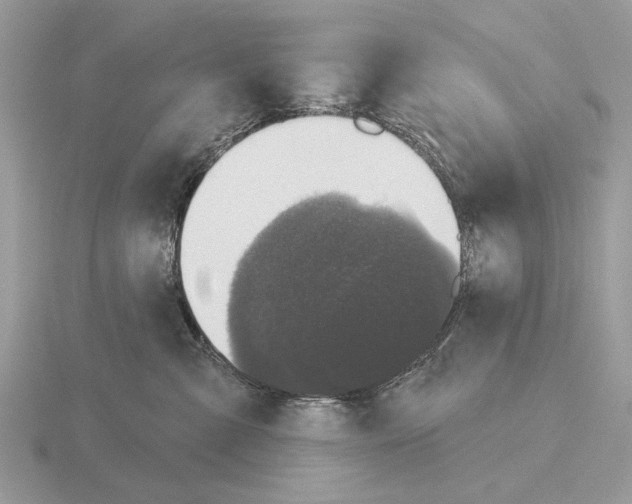 X0000115330427200912141223