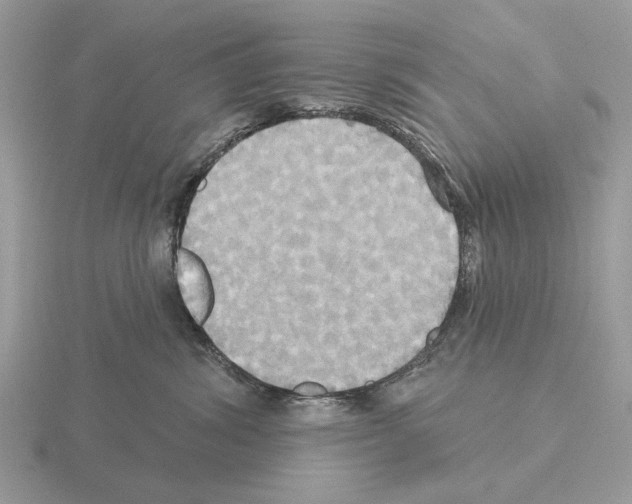 X0000115330428200912141223