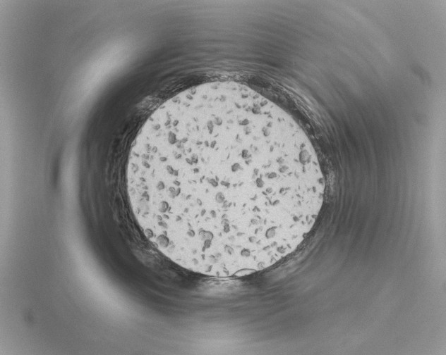 X0000115330429200912141223