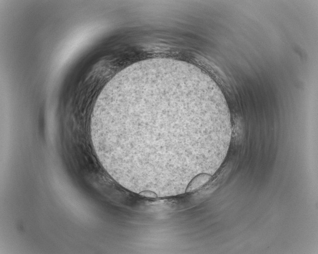 X0000115330430200912141223