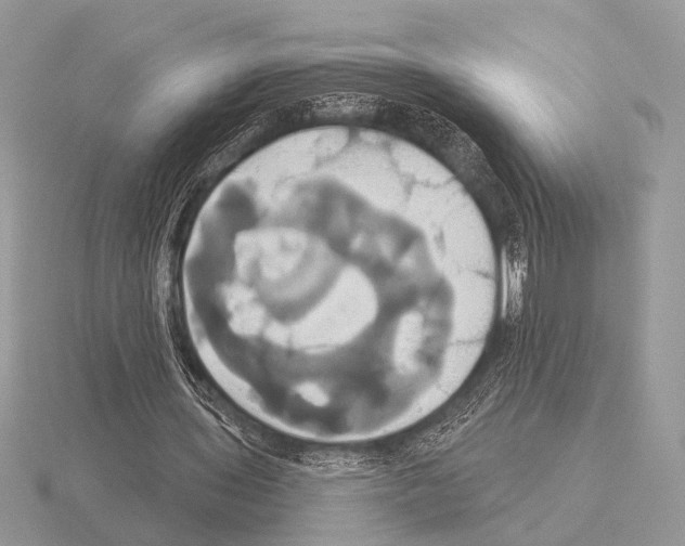 X0000115330435200912141222