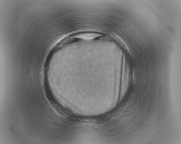 X0000115330436200912141222