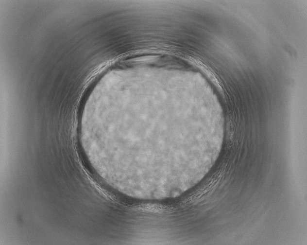 X0000115330437200912141222