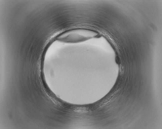 X0000115330438200912141222