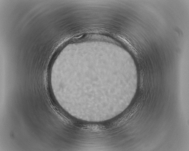 X0000115330439200912141222