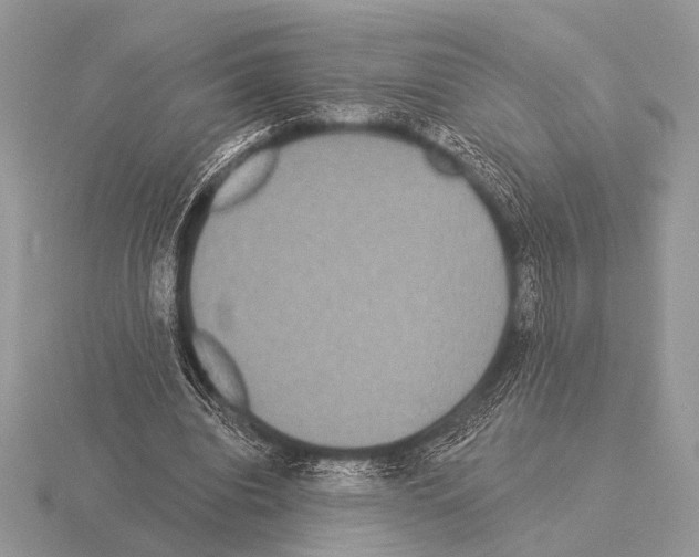 X0000115330440200912141222