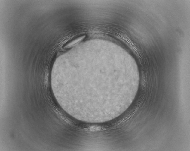 X0000115330441200912141222