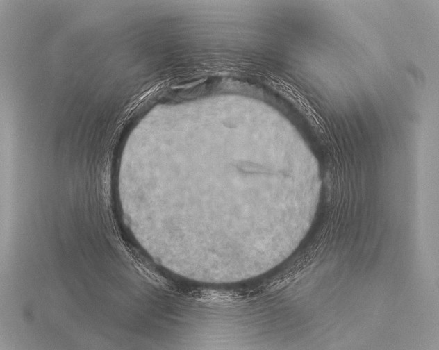 X0000115330442200912141222