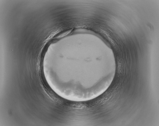 X0000115330443200912141223