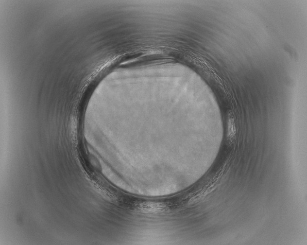 X0000115330444200912141223