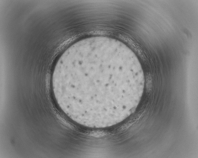 X0000115330445200912141223